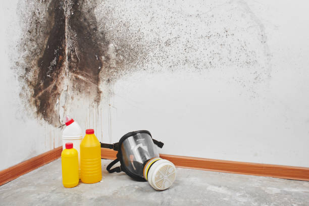 Best Crawl Space Mold Removal  in Chandler, OK