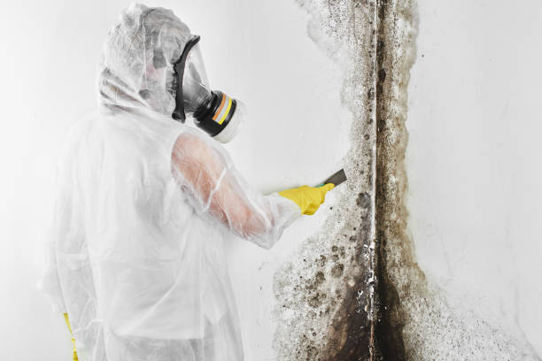 Best Crawl Space Mold Removal  in Chandler, OK