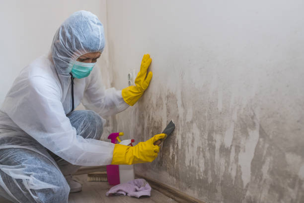 Best Mold Cleaning Services  in Chandler, OK