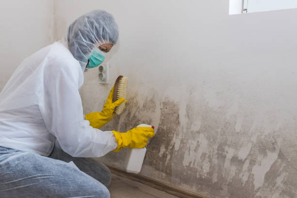 Best Mold Testing  in Chandler, OK