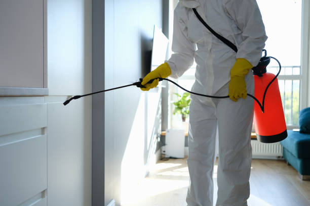 Best Local Mold Removal Service  in Chandler, OK
