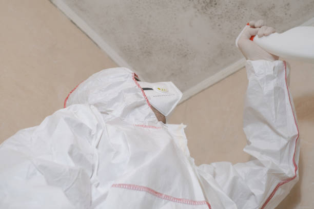 Best Toxic Mold Removal  in Chandler, OK