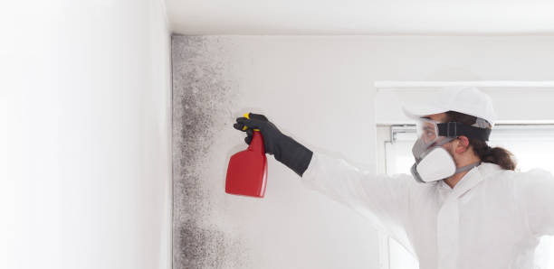 Best Black Mold Removal  in Chandler, OK