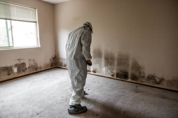  Chandler, OK Mold Removal Pros