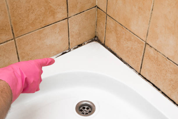 Best Office Mold Removal Services  in Chandler, OK